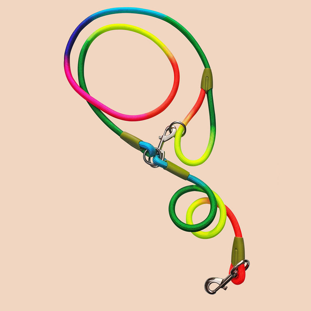 Hands-Free Double-Ended Dog Leash – 220cm Rainbow, 2-Pack
