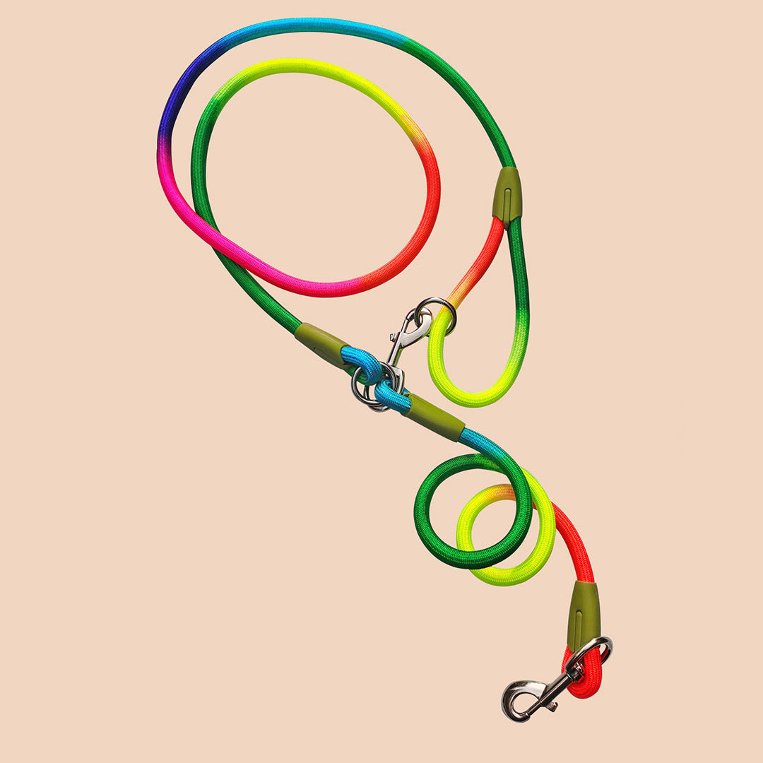 Hands-Free Double-Ended Dog Leash – 220cm Rainbow, 2-Pack