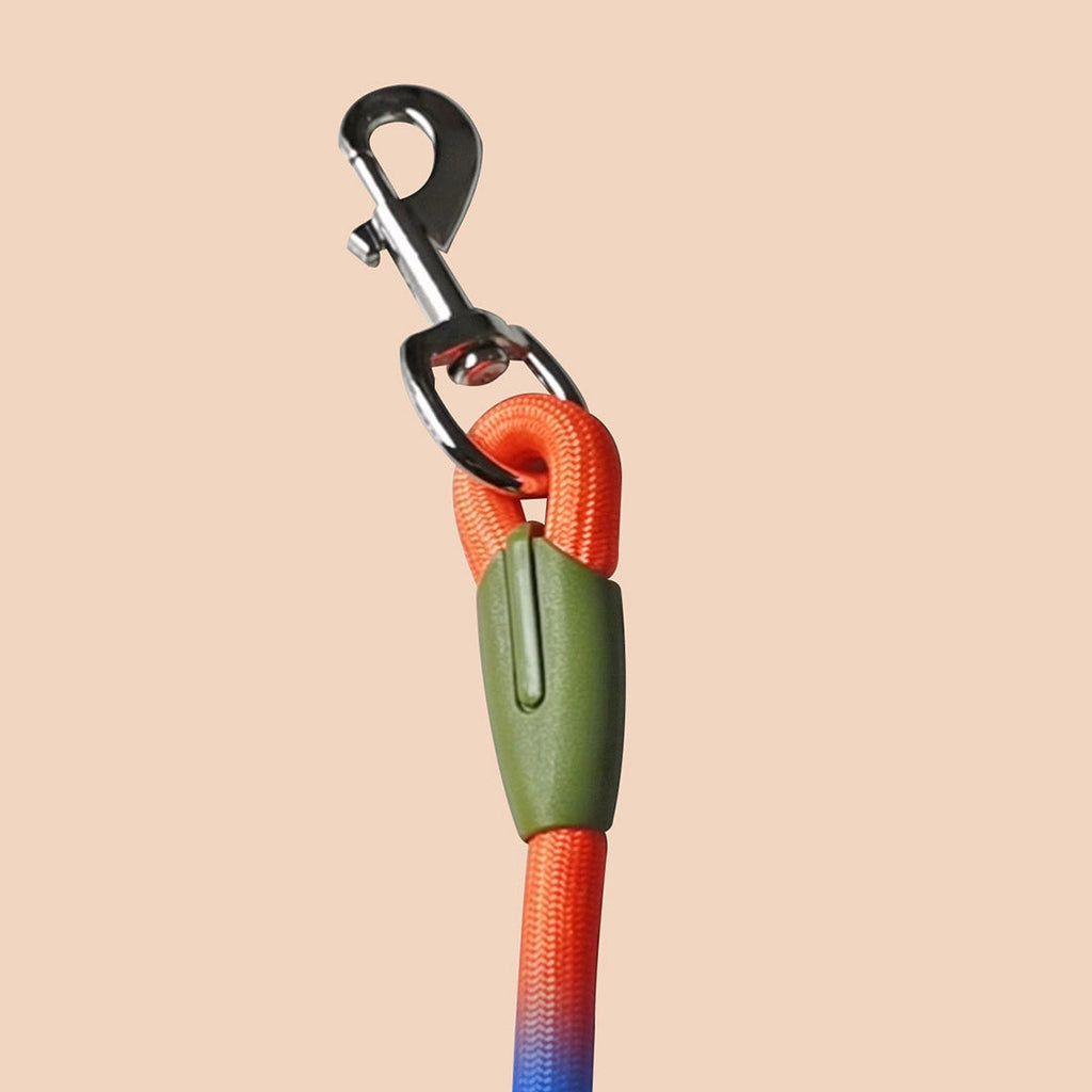 Hands-Free Double-Ended Dog Leash – 220cm Rainbow, 2-Pack