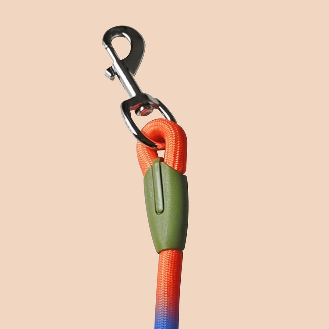 Hands-Free Double-Ended Dog Leash – 220cm Rainbow, 2-Pack