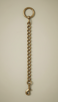 Solid Brass Dog Leash