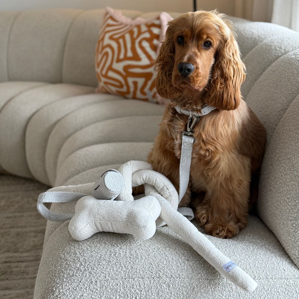 Boucle Knot Dog Toy – Soft Tug & Enrichment Toy for Dogs