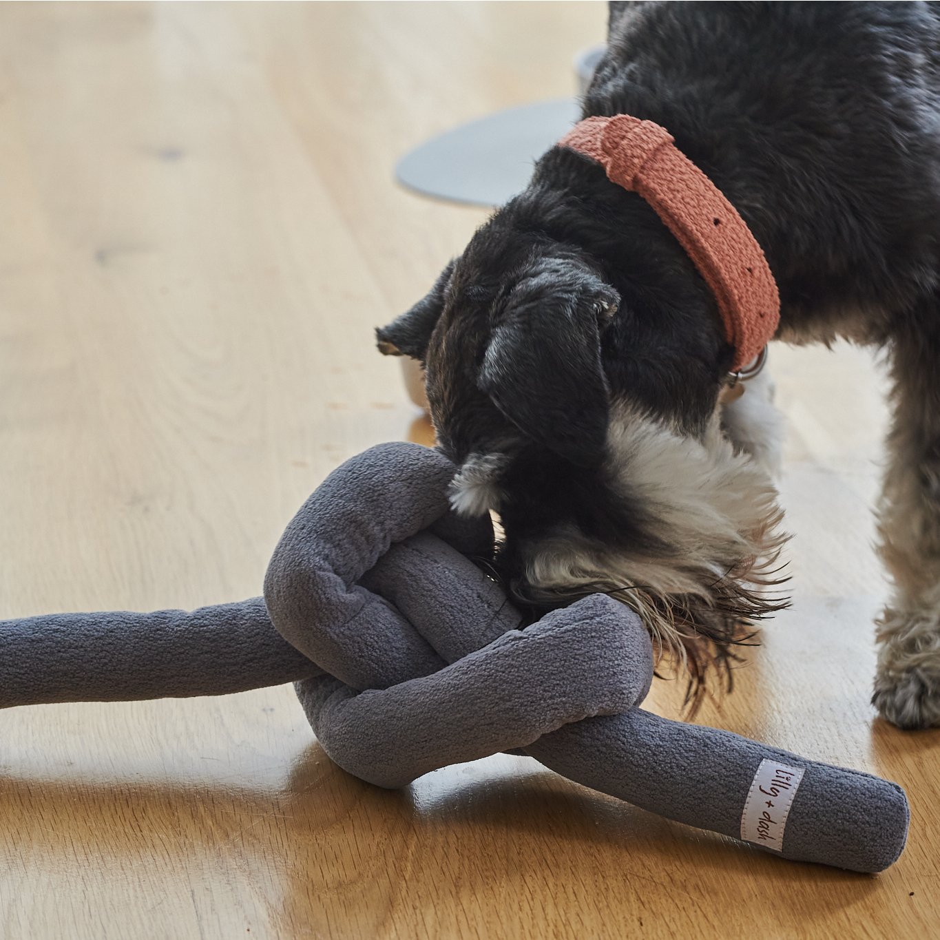 Boucle Knot Dog Toy – Soft Tug & Enrichment Toy for Dogs