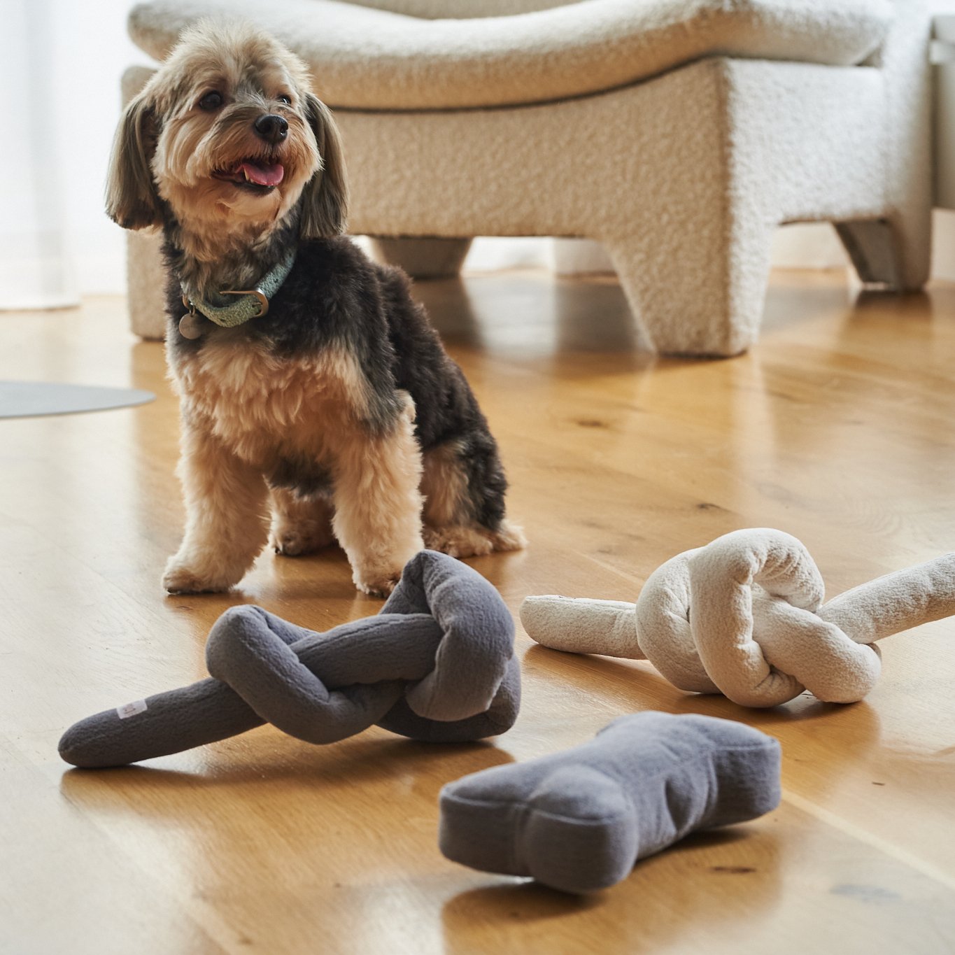 Boucle Knot Dog Toy – Soft Tug & Enrichment Toy for Dogs