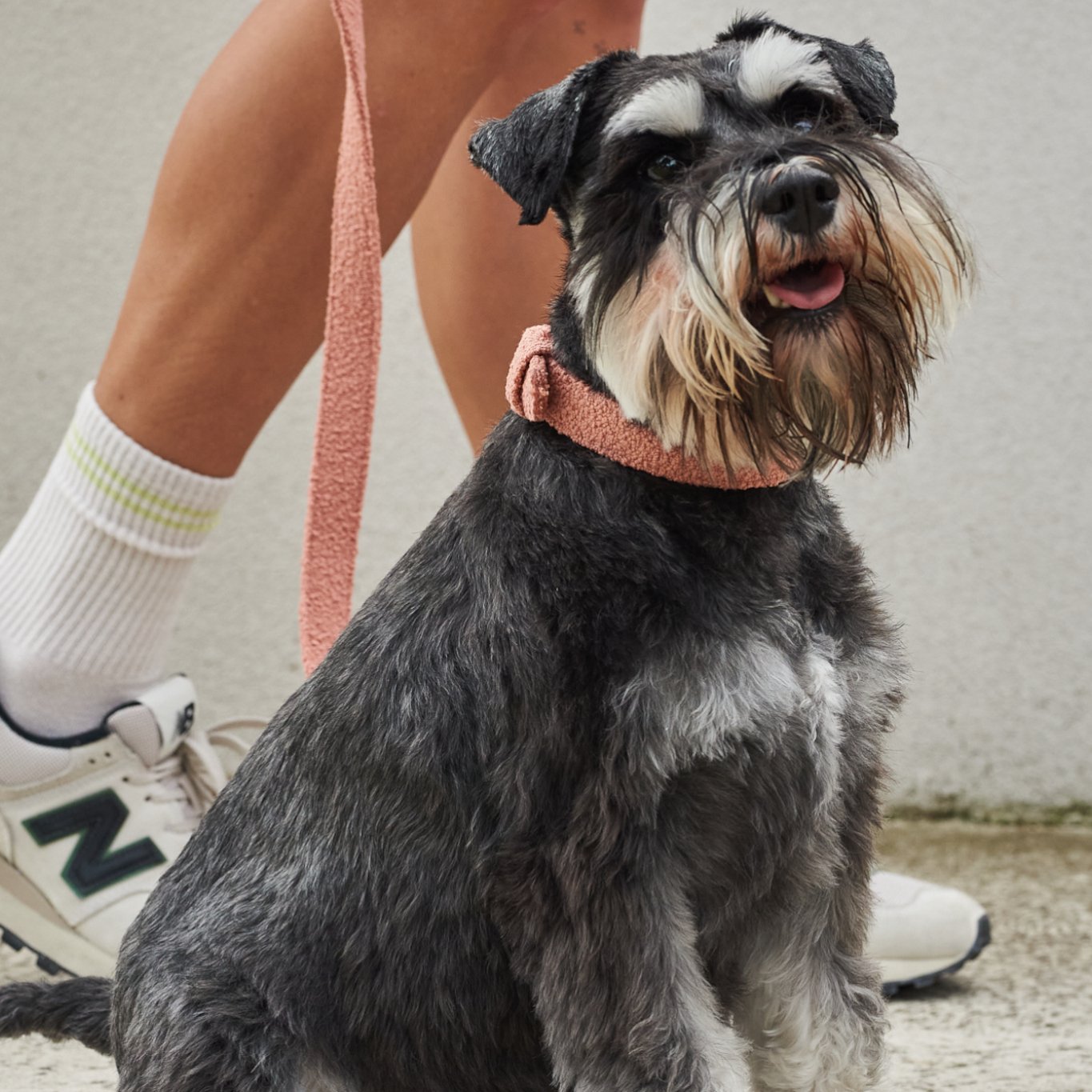 Boucle Dog Leash – Stylish 150cm Walking Lead for Dogs