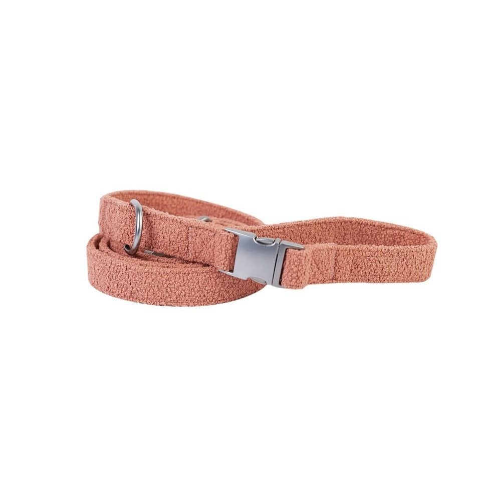 Boucle Dog Leash – Stylish 150cm Walking Lead for Dogs